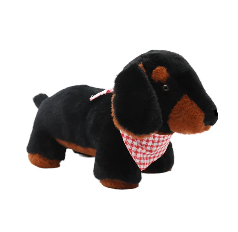 Hunter the Dachshund
