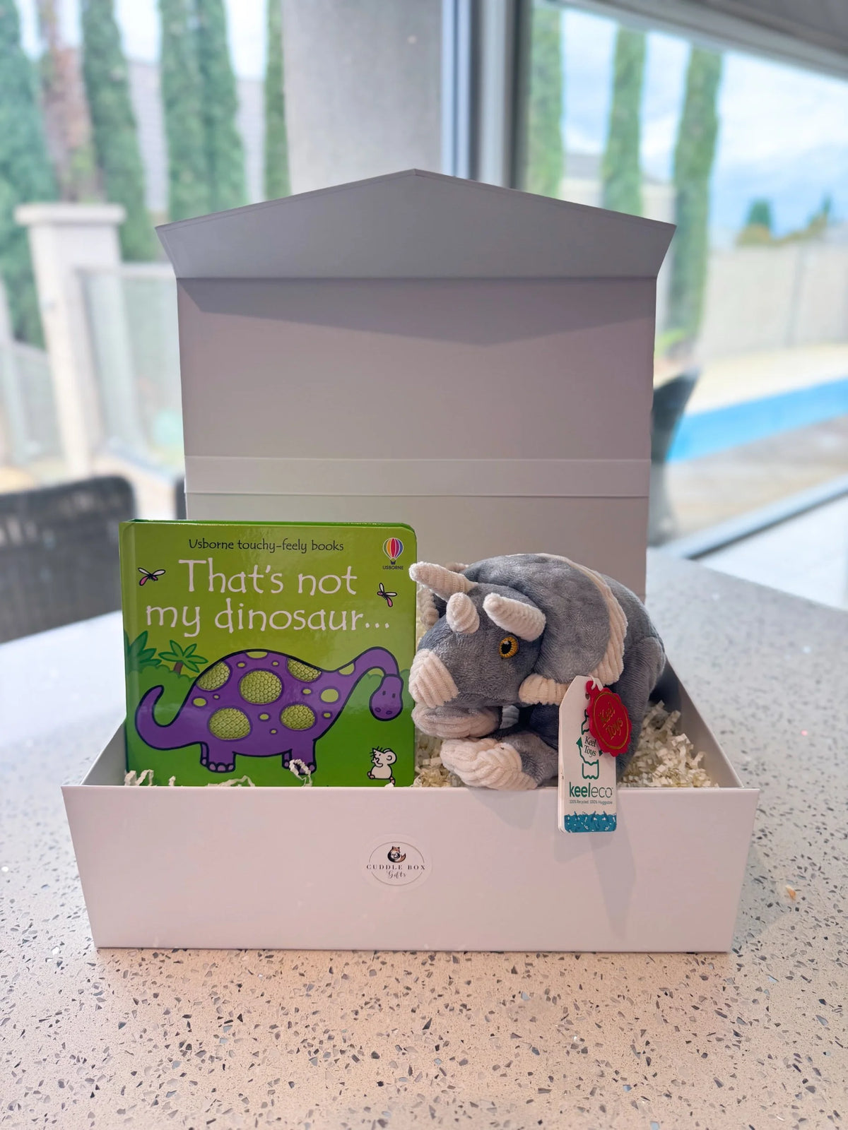Triceratops Dinosaur Gift Box