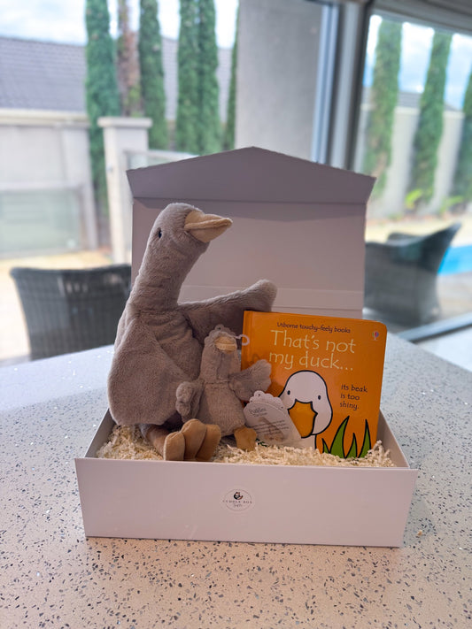 Puddles & Mini Puddles Gift Box