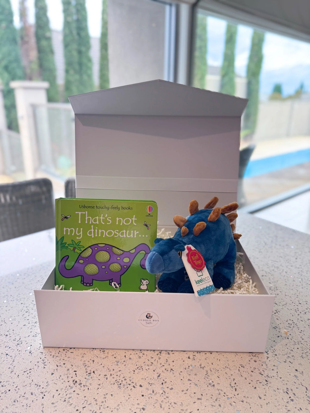 Stegosaurus Dinosaur Gift Box