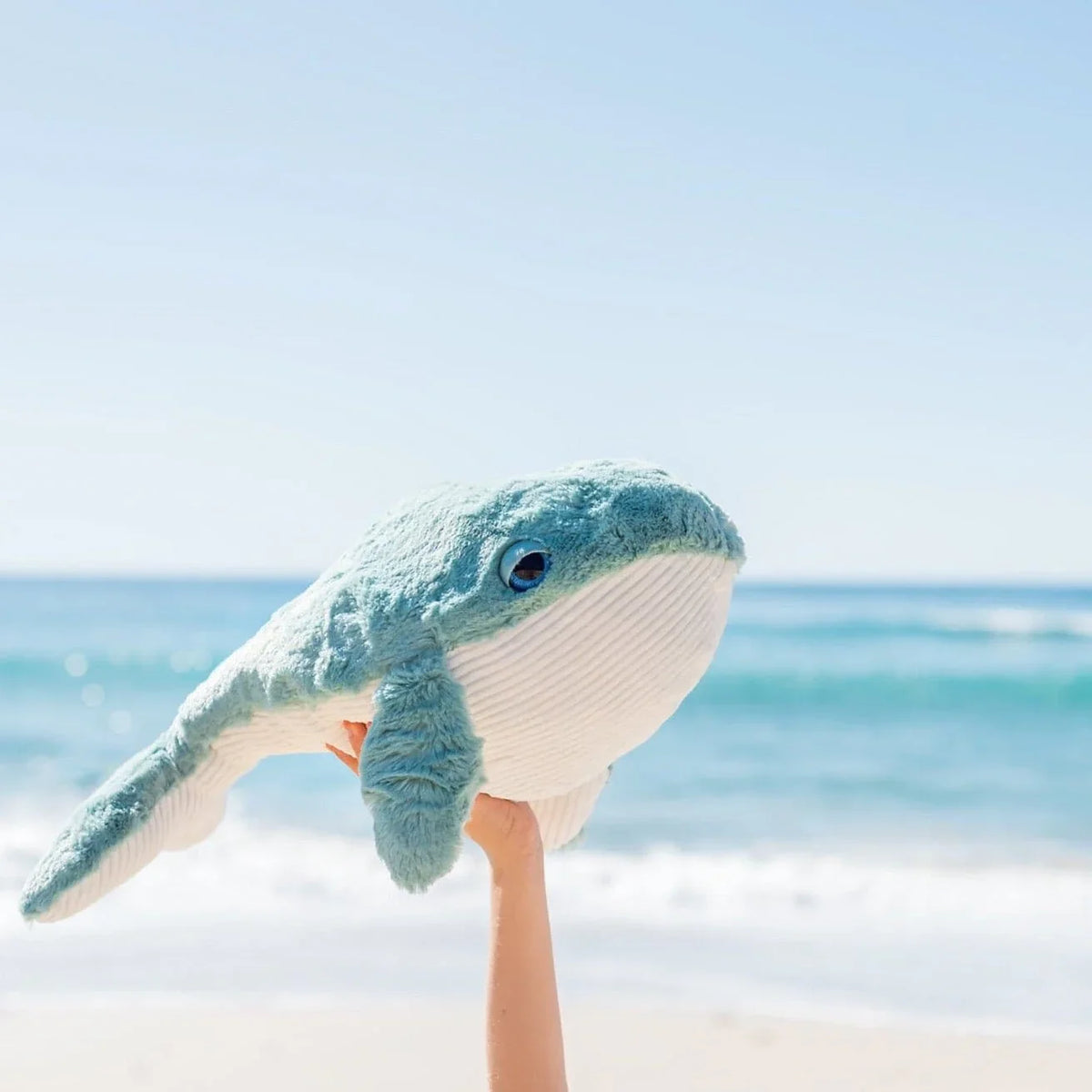 Hurley the Whale
