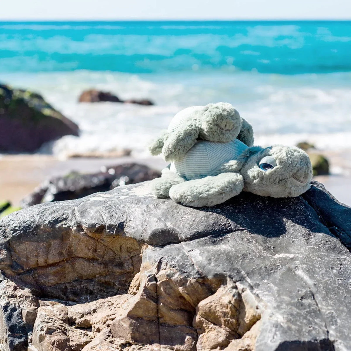 Little Tyler the Turtle - 20cm