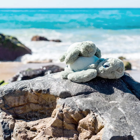 Little Tyler the Turtle - 20cm