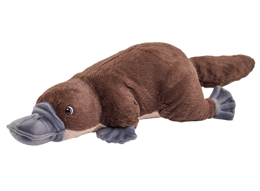 Triceratops Dino 26cm