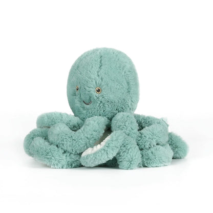 Little Reef Octopus
