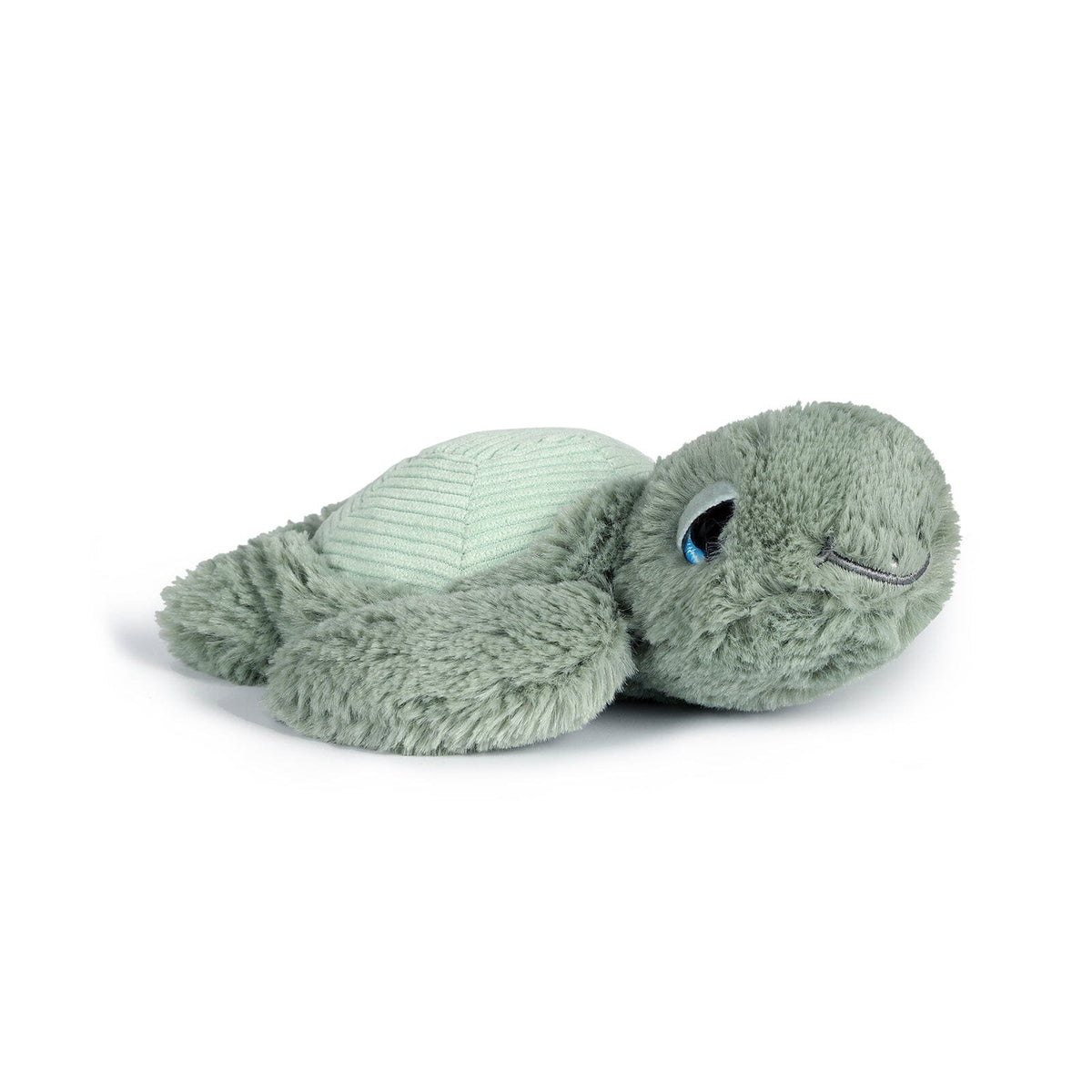 Little Tyler the Turtle - 20cm
