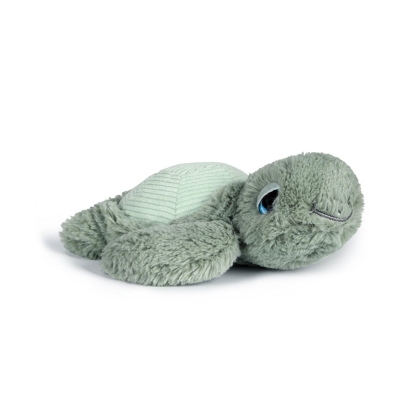 Little Tyler the Turtle - 20cm