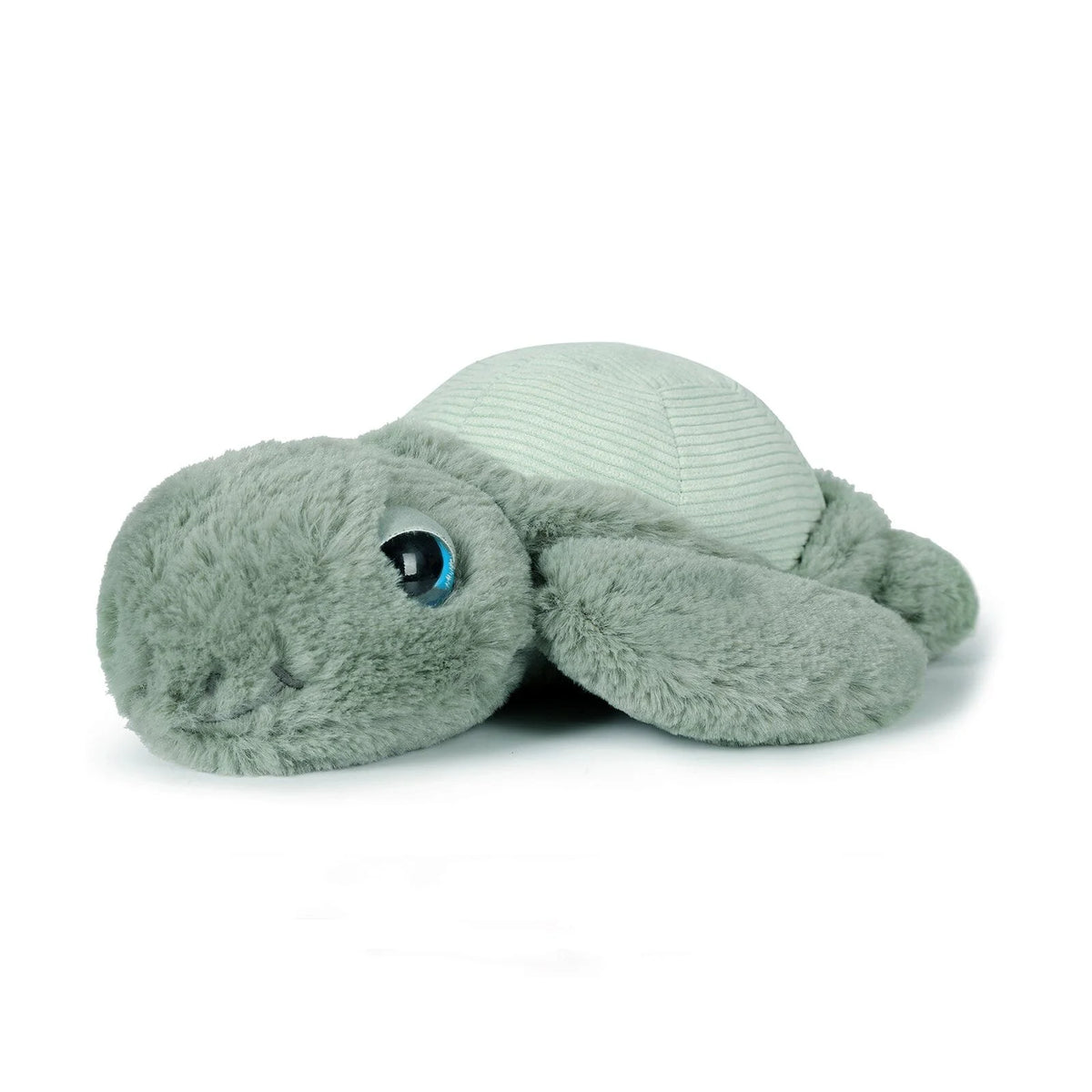 Little Tyler the Turtle - 20cm