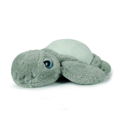 Little Tyler the Turtle - 20cm
