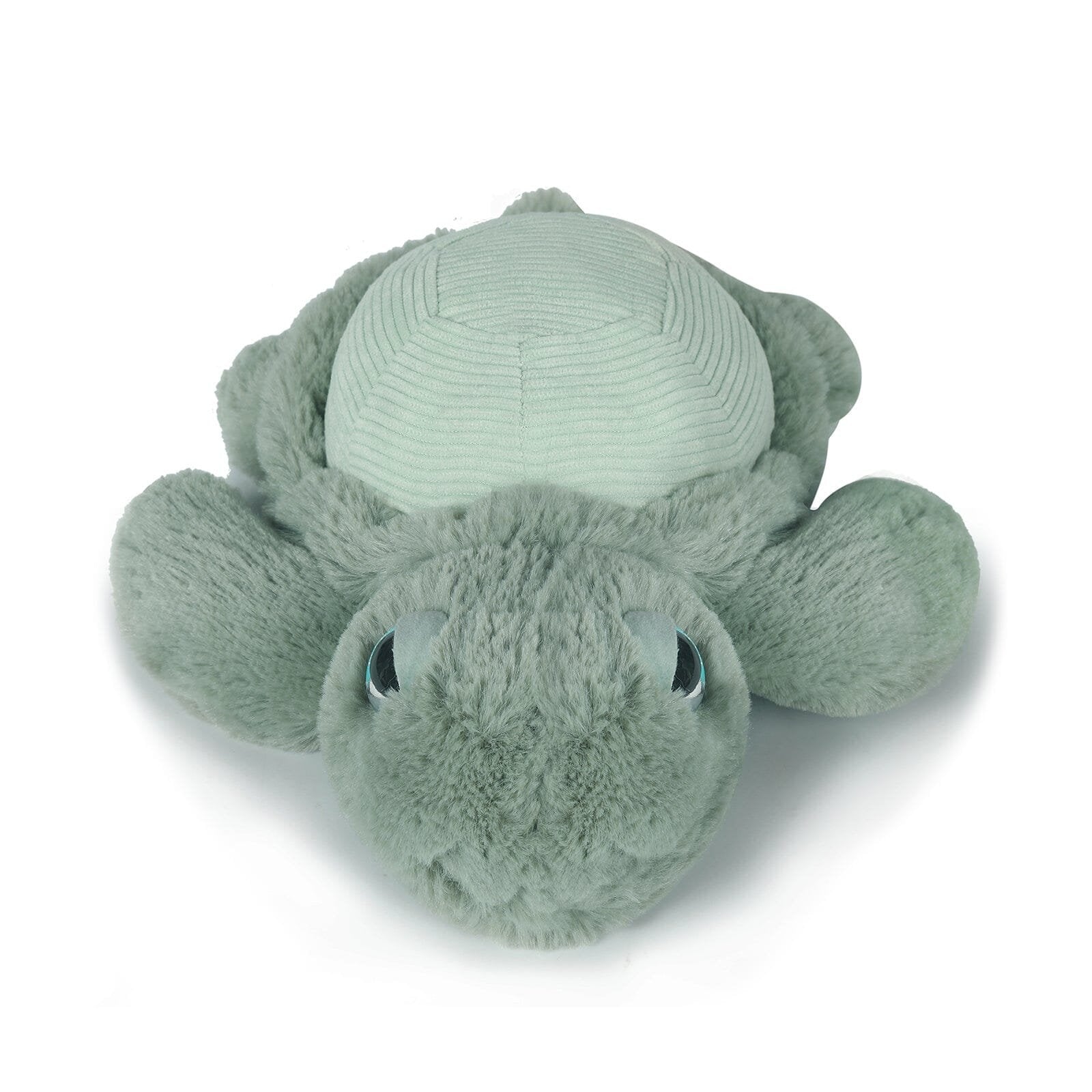 Little Tyler the Turtle - 20cm