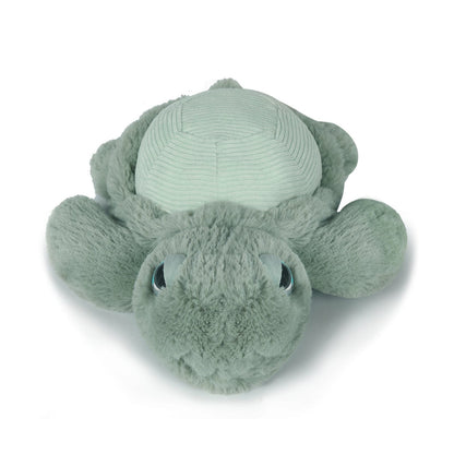 Little Tyler the Turtle - 20cm