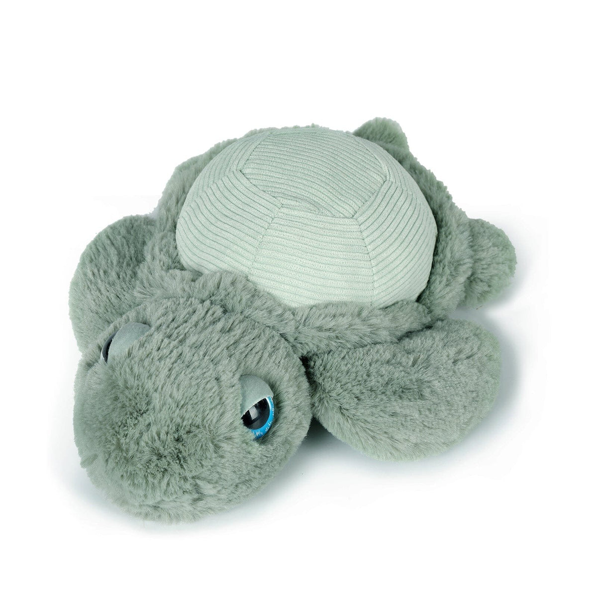 Little Tyler the Turtle - 20cm