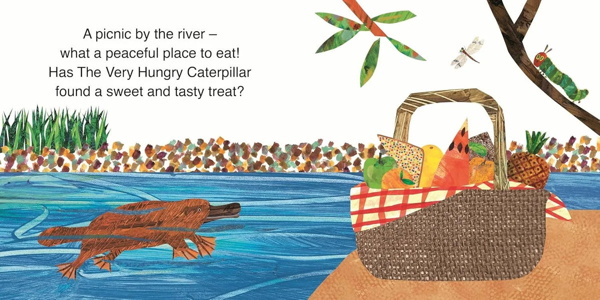 Platypus Adventure Gift Box
