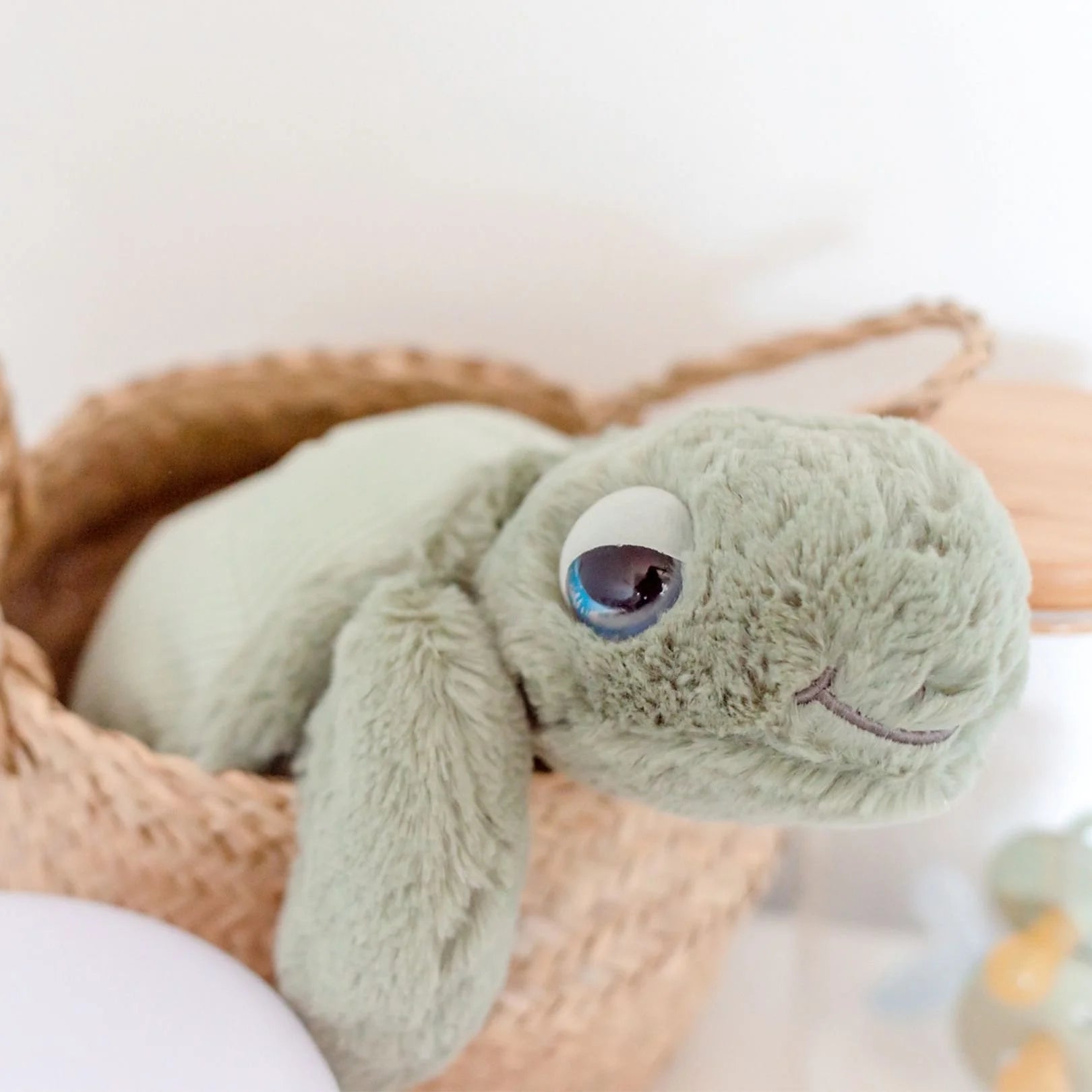 Tyler the Turtle - 33cm