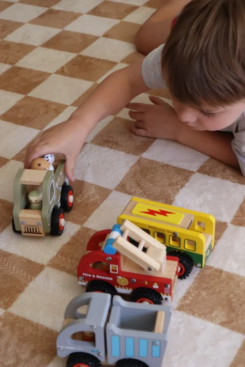 Wooden Zoo Truck